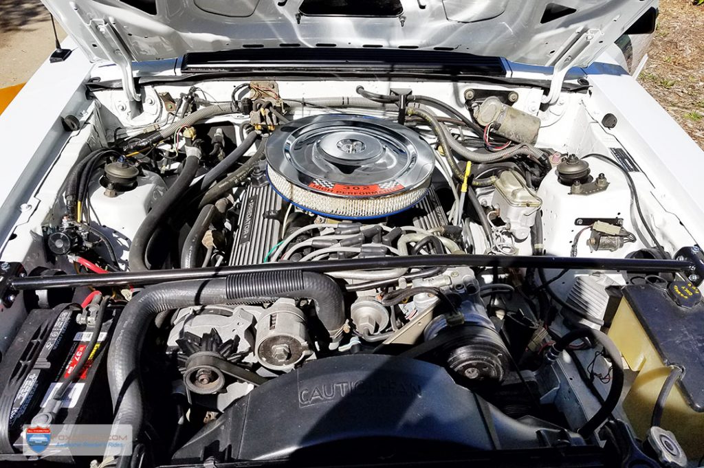 Fox Mustang Engine bay - Predator GT302