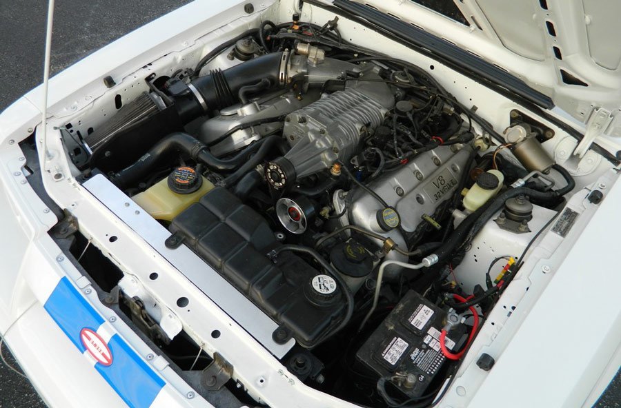 Termi engine in Predator Fox Mustang