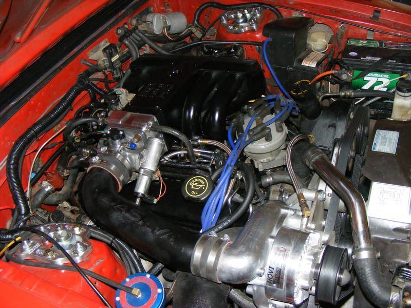 Supercharged 5.0HO Fox