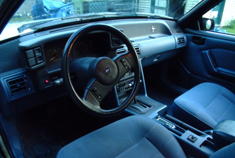 blue fox body interior