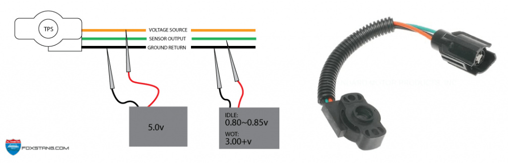 4 Wire Throttle Position Sensor Wiring Diagram from www.foxstang.com