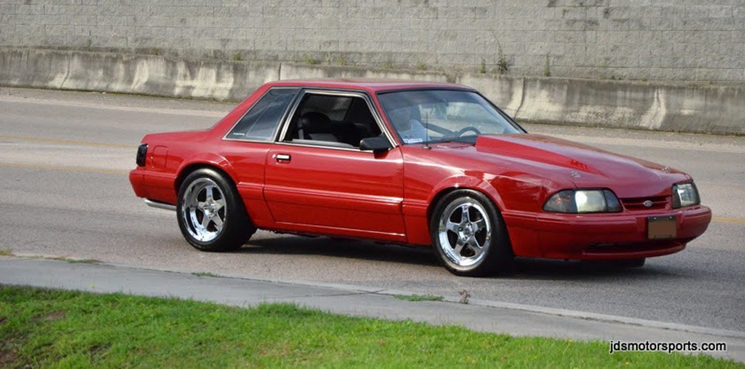 Fox notchback