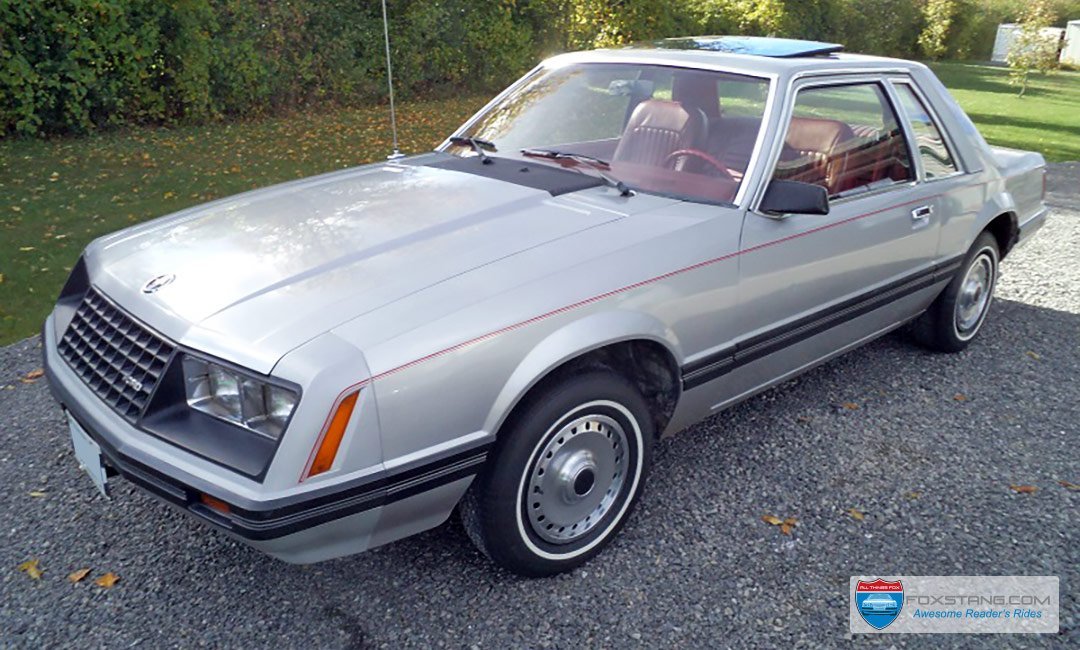 Featured 1979 all original fox body notchback Mustang