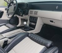 foxbody interior dye